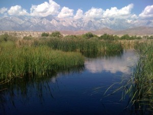 river-mountains