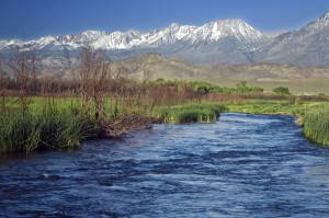 Owens River, Inyo County